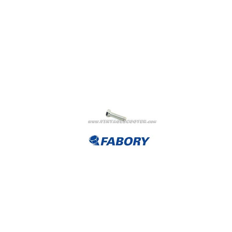 Boulon  M 6 mm L 25 mm zingué FABORY